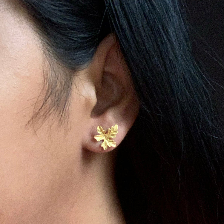 Leaf earring SILVER IVY GOURD EARRINGS-ASTI008
