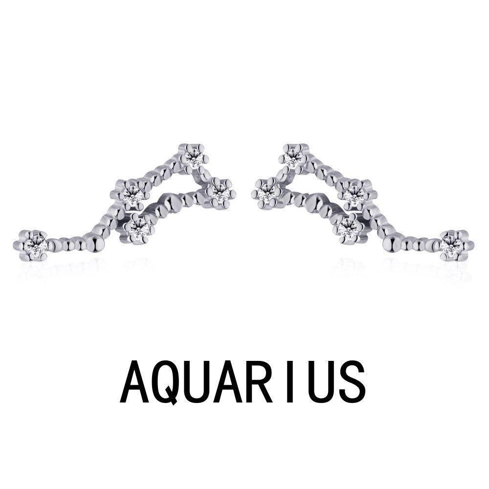 Aquarius small Studs -ASDY58