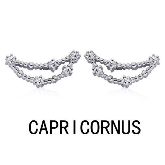 Capricornus studs-ASDY69