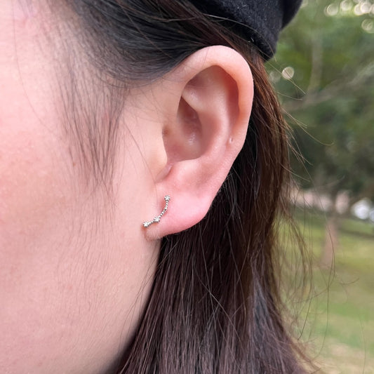 Pisces Earring-ASDY59