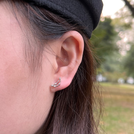 Capricornus studs-ASDY69