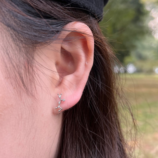 Sagittarius studs-ASDY67